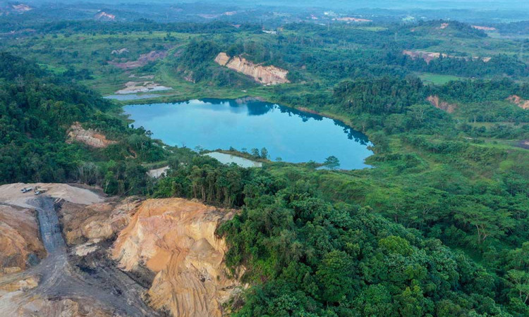 Kementerian Kehutanan Mencatat Angka Deforestasi Netto 2024 Tercatat Sebesar 175,4 Ribu Hektare