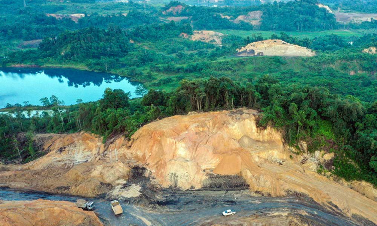 Kementerian Kehutanan Mencatat Angka Deforestasi Netto 2024 Tercatat Sebesar 175,4 Ribu Hektare
