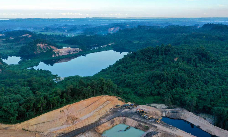 Kementerian Kehutanan Mencatat Angka Deforestasi Netto 2024 Tercatat Sebesar 175,4 Ribu Hektare