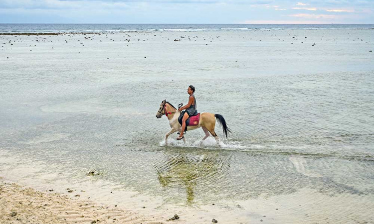 Wisata Menunggang Kuda di Gili Trawangan Banyak Diminati Wisatawan