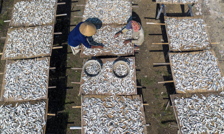 Produksi Ikan Kering Terkendala Cuaca