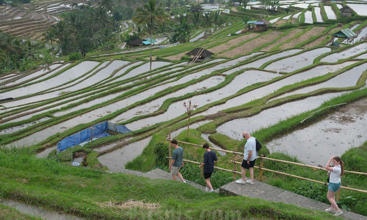 Bali Catat Realisasi APBD Surplus Rp2,68 Triliun per Mei 2025