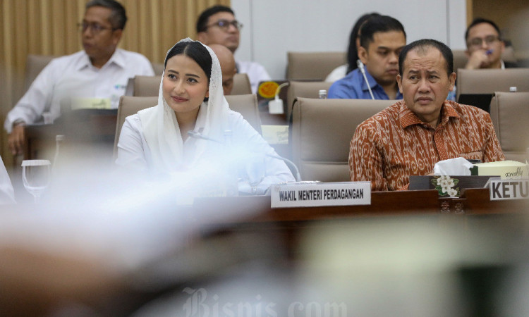 Wamendag Dyah Roro Esti Bahas Anggaran Kemendag Saat Raker Dengan Komisi VI DPR