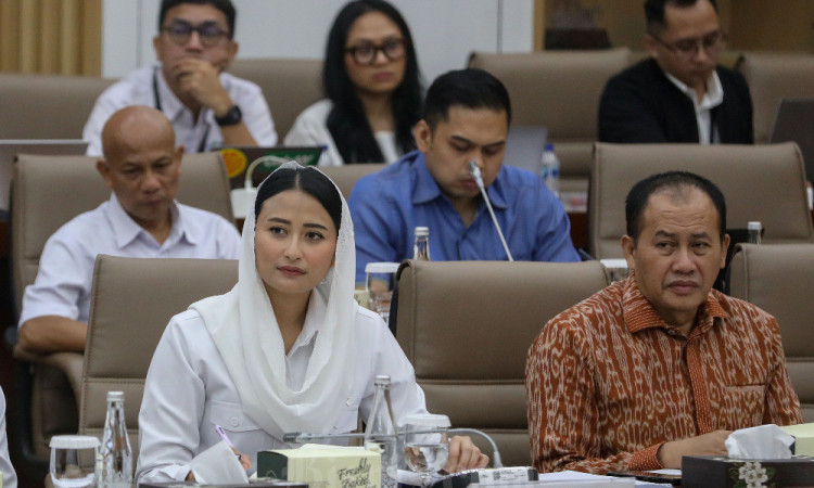 Wamendag Dyah Roro Esti Bahas Anggaran Kemendag Saat Raker Dengan Komisi VI DPR