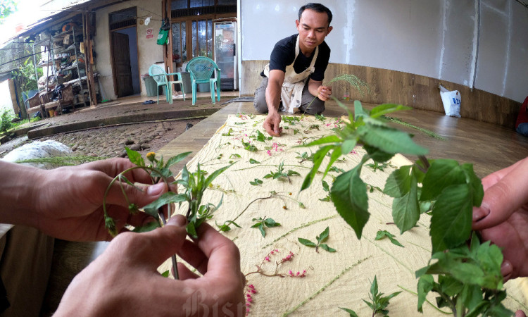 Kain Ecoprint Mulai Diminati Pasar Nasional Hingga Mancanegara