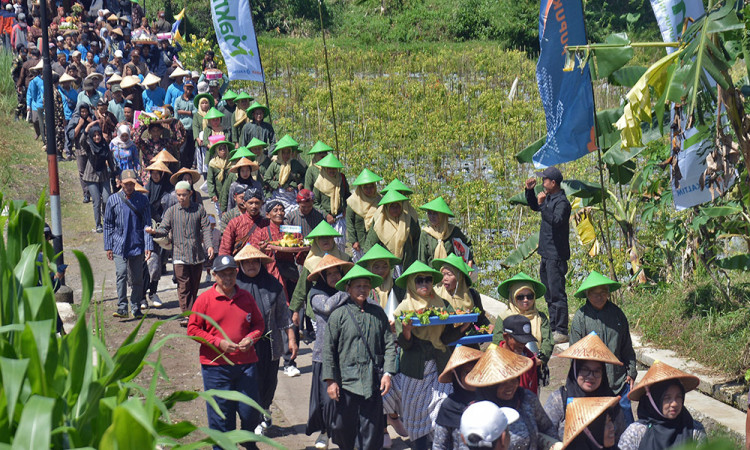 Selamatan dan Festival Kopi Gemawang 2025 di Temanggung Jawa Tengah