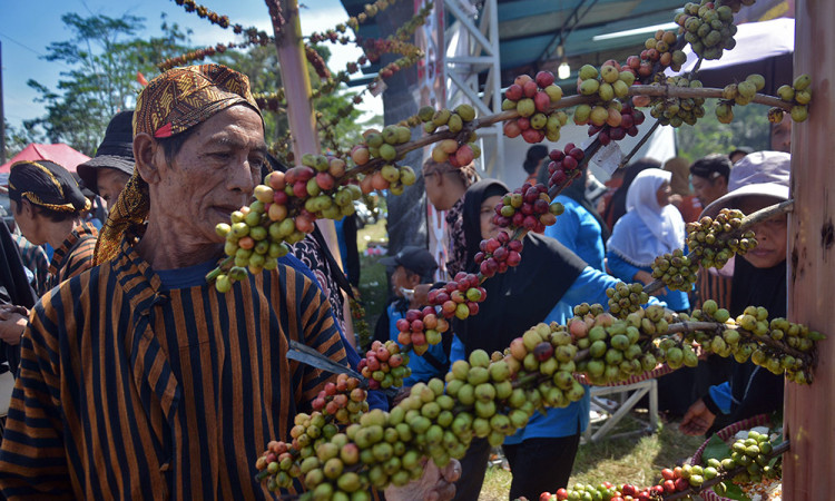 Selamatan dan Festival Kopi Gemawang 2025 di Temanggung Jawa Tengah