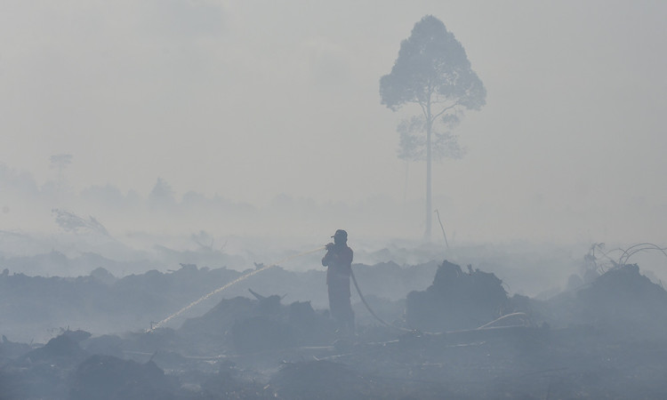 Karhutla Hari Kelima di Muaro Jambi