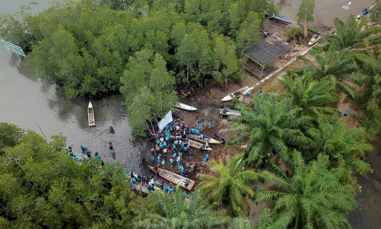 Pengembangan Kawasan Wisata Mangrove