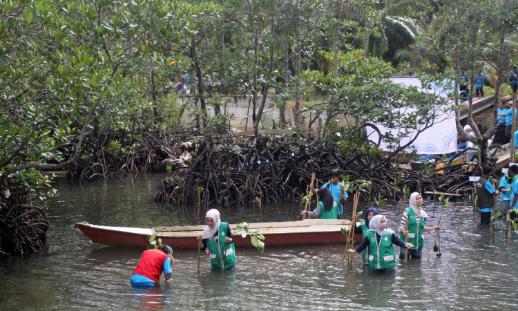 Pengembangan Kawasan Wisata Mangrove