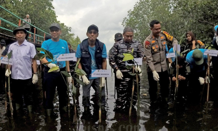 Pengembangan Kawasan Wisata Mangrove