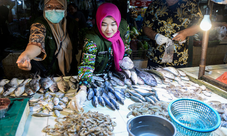 Uji Keamanan Pangan Segar