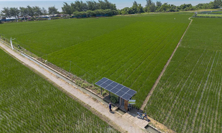 Pemerintah Kembangkan PLTS Pedesaan Untuk Percepatan Swasembada Energi