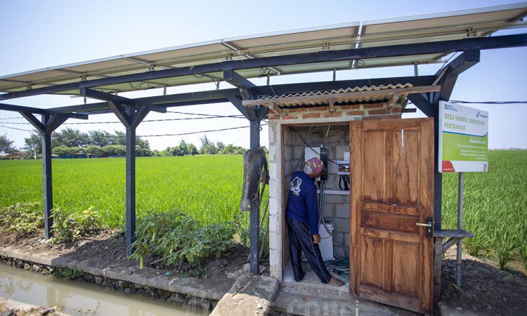 Pemerintah Kembangkan PLTS Pedesaan Untuk Percepatan Swasembada Energi