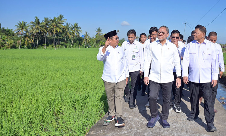 Menteri Koordinator Bidang Pangan Zulkifli Hasan Lakukan Sosialisasi Kopdes Merah Putih di Lombok