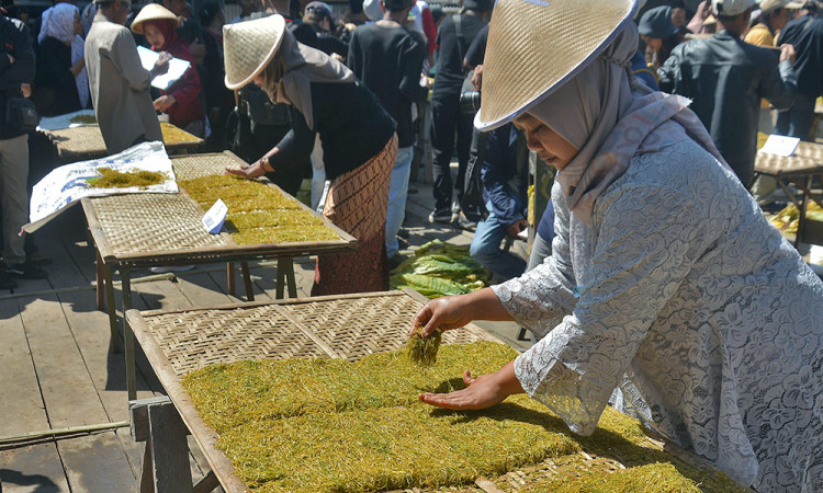 Festival Lembutan VI di Kawasan Lereng Gunung Sindoro