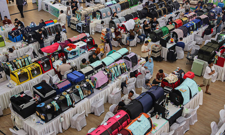 International Cat Show 2025 di Semarang