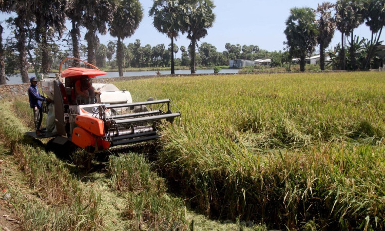 Nilai Tukar Petani (NTP) Gabungan Provinsi Sulawesi Selatan Menurun