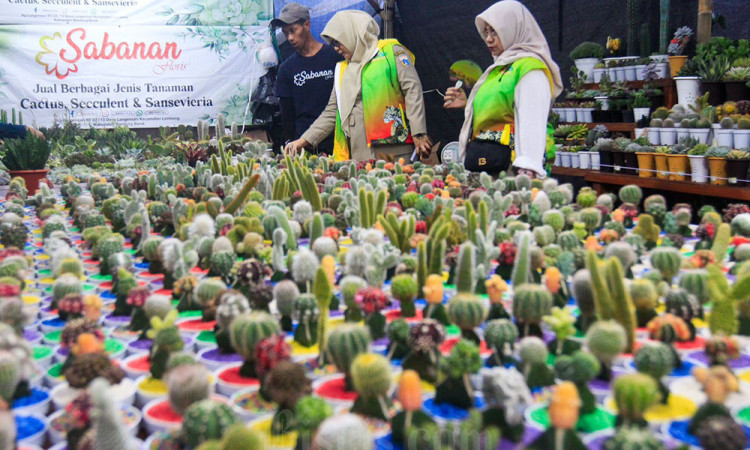 Pameran Produk UMKM Flora dan Fauna