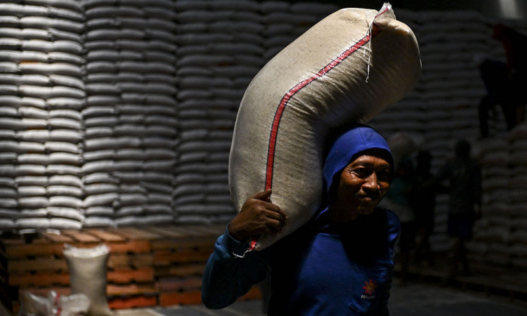 Realisasi Penyerapan Beras Dalam Negeri Mencapai 2,78 Juta Ton