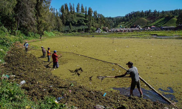 Pemulihan Ekosistem Danau Ranu Pani