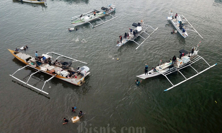 Pasokan Ikan Tangkapan di Laut Jawa Menurun Akibat Lautan Tercemar Oleh Sampah
