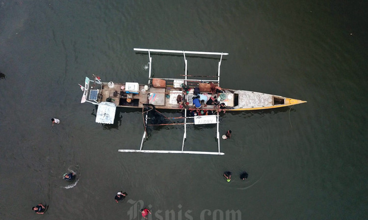 Pasokan Ikan Tangkapan di Laut Jawa Menurun Akibat Lautan Tercemar Oleh Sampah