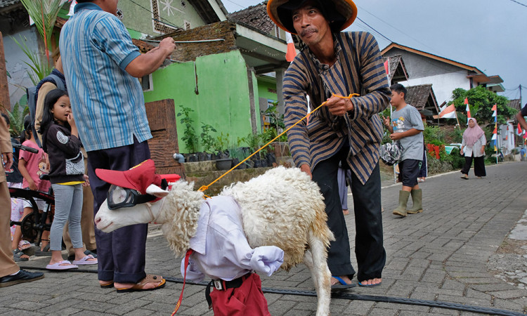 Karnaval Domba Semarak HUT Kemerdekaan RI