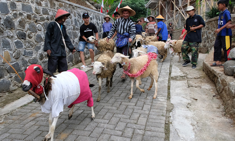Karnaval Domba Semarak HUT Kemerdekaan RI