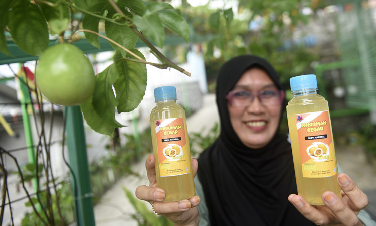 Ruang Hijau Ketahanan Pangan Untuk Keluarga