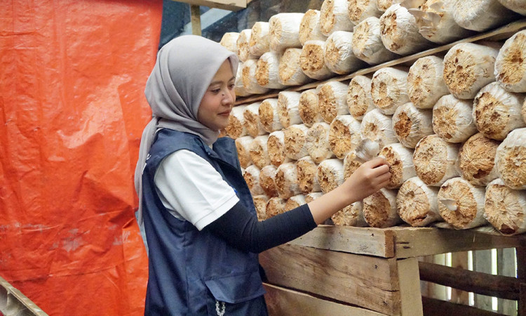 Holding BUMN Danareksa dan PPA Gelar Relawan Bakti BUMN Batch VIII di Ciamis