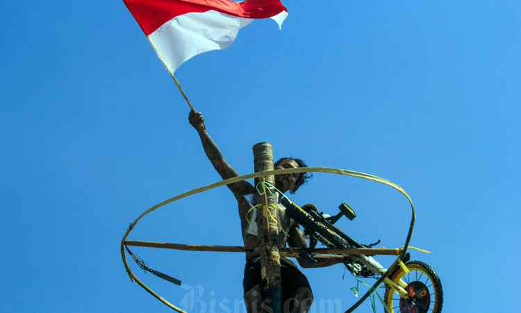 Ratusan Peserta Meriahkan Lomba Panjat Pinang di Pantai Ancol