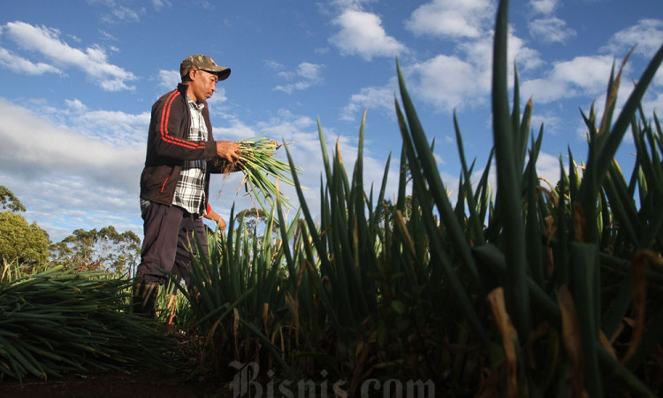 Nilai Tukar Petani Sulsel Menurun