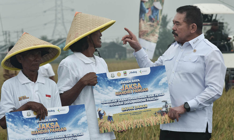 Panen Raya di Lahan Rampasan Negara