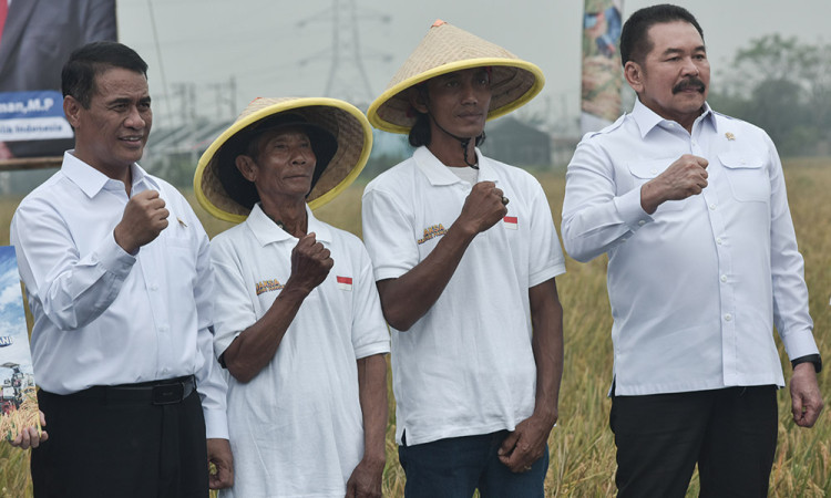 Panen Raya di Lahan Rampasan Negara