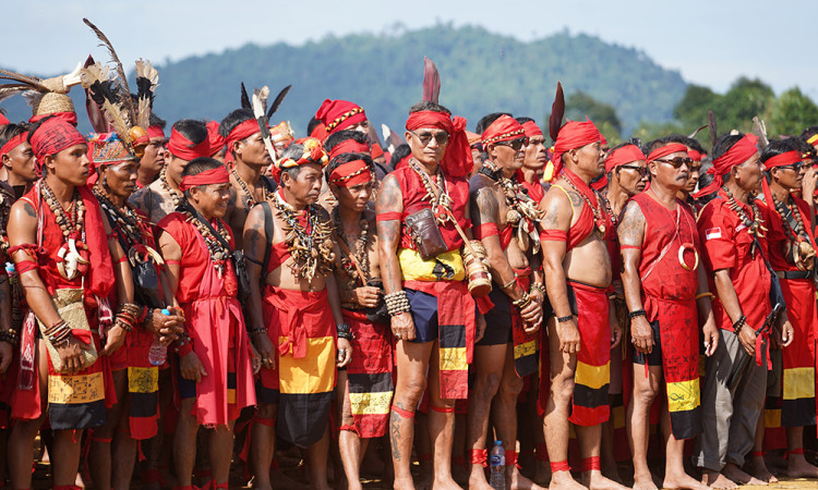 Pasukan Merah TBBR Minta Dibangunkan Rumah Adat