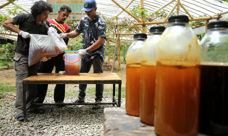 Produksi Madu Lebah Liar Hutan Aceh