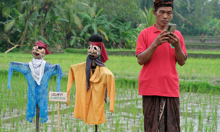 Aplikasi Pertanian Berbasis Digital