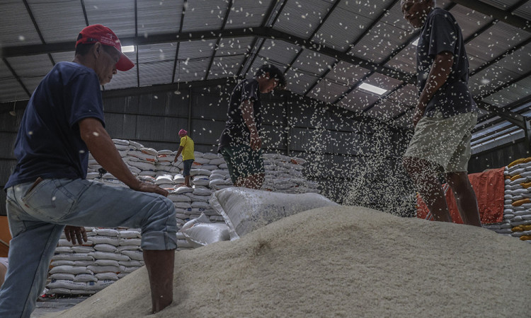 Ketersediaan Beras Nasional 2025 Melimpah, Capai 36,98 Juta Ton
