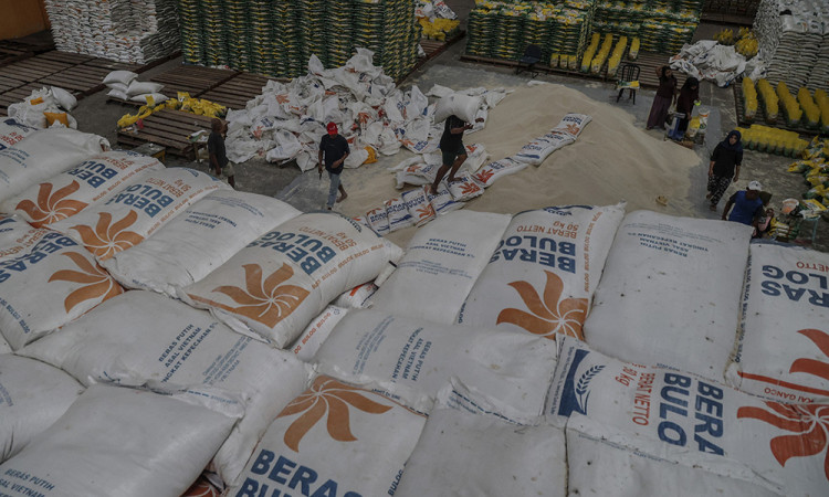 Ketersediaan Beras Nasional 2025 Melimpah, Capai 36,98 Juta Ton