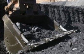 BOY THOHIR: Tak kapok di bisnis batubara 