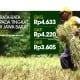 DATA BISNIS: Harga Rata-rata Gabah di Jabar pada Agustus 2012