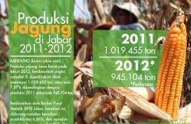 DATA BISNIS: Produksi Jagung Jabar 2012 Diprediksi Naik 7,87%