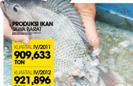 DATA BISNIS: Produksi Budidaya Ikan di Jabar Naik 1,35%