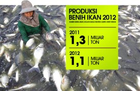 DATA BISNIS: Produksi Benih Ikan 2012 di Kab. Bandung 1,3 Miliar Ton