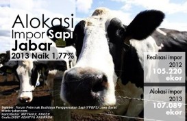 DATA BISNIS: Alokasi Impor Sapi Jabar 2013 Naik 1,77%