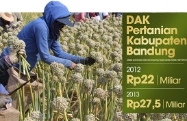 DATA BISNIS: DAK Pertanian Kab Bandung Jadi Rp5,5 Miliar