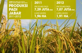 DATA BISNIS: Produksi Padi Jabar 2012 Turun 3,11%