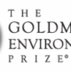 LINGKUNGAN HIDUP: Mama Aleta Sabet Gelar "Goldman Environmental Prize 2013"