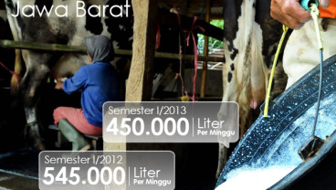 DATA BISNIS: Produksi Susu Jabar Turun